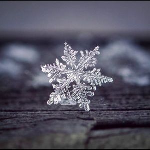 Meet your Posher, Tricia